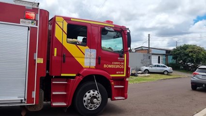 Gato tenta escapar, fica preso em tela de proteção e é salvo pelo Corpo de Bombeiros