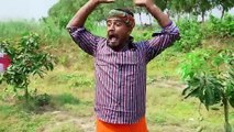 Indian Village Comedy – Funniest Viral Moments! 😂 | Episode 219 | Showtime Vault FX