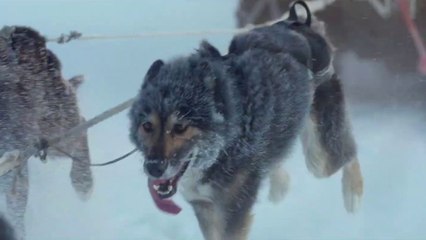 Folktales Trailer OmdU