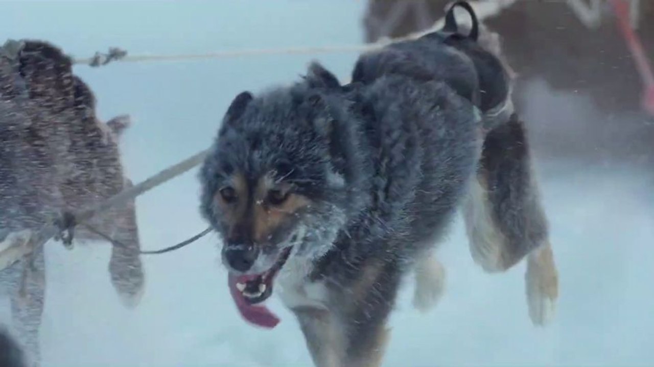 Folktales - Mit Schlittenhunden ins Leben Trailer OmdU