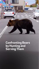 Confronting Bears by  Hunting and Serving Them