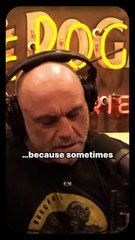 The Hard Truth Joe Rogan Told Theo Von