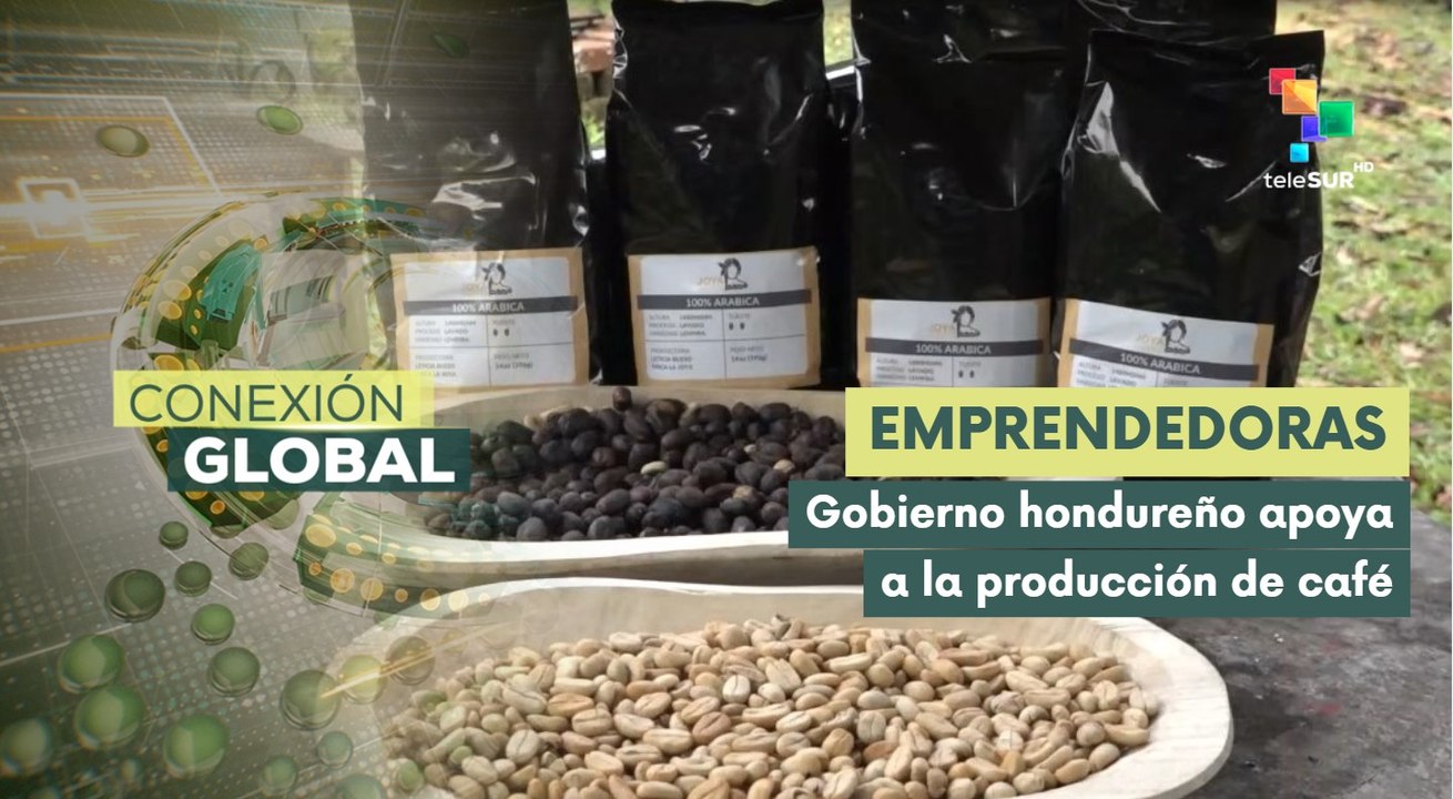 Mujeres de Comayagua transforman vidas con exitoso proyecto cafetalero