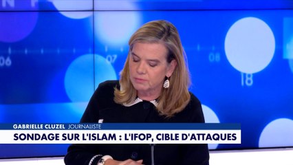 «La France insoumise est dans la situation de l'arroseur arrosé», estime Gabrielle Cluzel