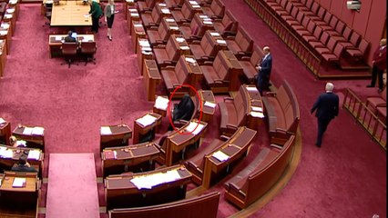 Una senadora australiana acude a la Cámara vestida con un burka y es acusada de "racismo"