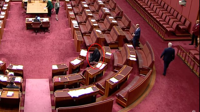 Una senadora australiana acude a la Cámara vestida con un burka y es acusada de racismo