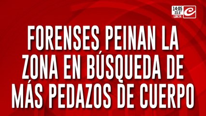 Encontraron una cabeza y un torso humano: todo apunta al detenido por doble homicidio