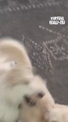 'Southern Charm' stars Salley and Venita are not seeing eye to eye on Craig Conover