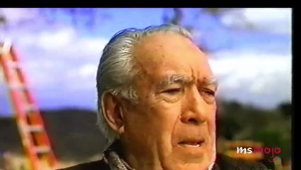 Top 20 '90s Menu Items Never Coming Back