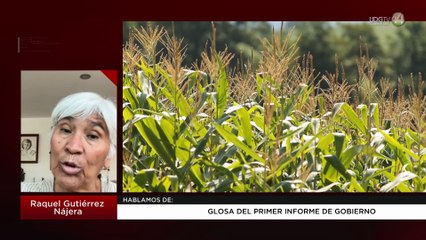 Glosa del primer informe de gobierno | Raquel Gutiérrez Nájera