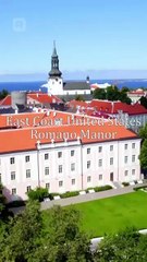 La sustituta del jefe de la mafia en Español