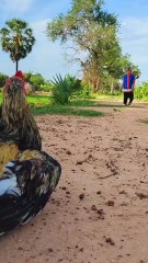 Viral video SokYaa, OG, Pao & Mom Are Famous Around The World #shorts #anime #trend #edit