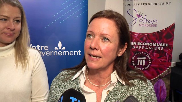 CH 24 Nov TOPO Argent pour Tourisme Charlevoix WEB