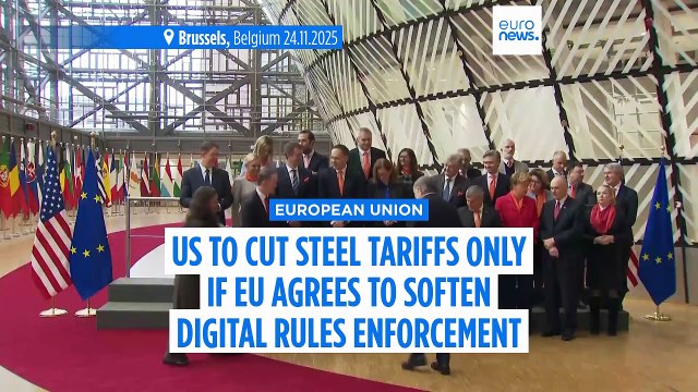 US to cut steel tariffs only if EU agrees to soften digital rules enforcement in return