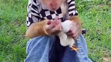 Best SokYaa, OG, Pao & Mom Are Videomous Around The World #shorts #anime #trend #edit