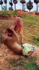 Awesome Video Best SokYaa, OG, Pao & Mom Are Famous Around The World #shorts #anime #trend #edit