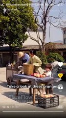 Billionaire s Baby Bombshell - 80s Runaway Romance Full movie