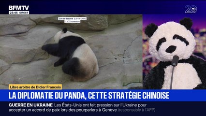 La diplomatie du panda, cette stratégie chinoise - 24/11