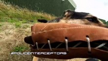 Police Interceptors - Season 24 Episode 9