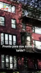 Filho do Alfa Segredo do Amor [Dublado] #SF24