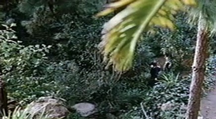 THE INCREDIBLE MELTING MAN  / 1977 MOVIE