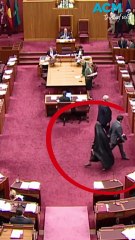 Pauline Hanson suspended from senate after second burka stunt