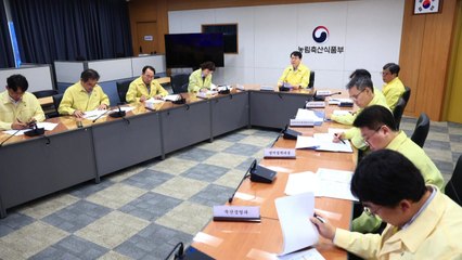 충남 당진에서 아프리카돼지열병 확진...전국 일시 이동중지 / YTN