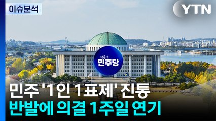 [시사정각] '1인1표제' 내부 반발 확산...민주당, 속도 조절하나? / YTN