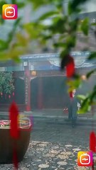 Through the Thorns to Embrace You