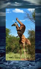 wow that's awesome 3.06