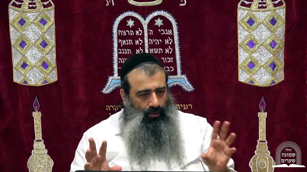 41 כתר מלכות