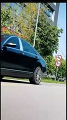 The Cost of Being Vain - Full