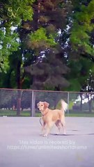 [EngSub] The Cure for a Broken Heart