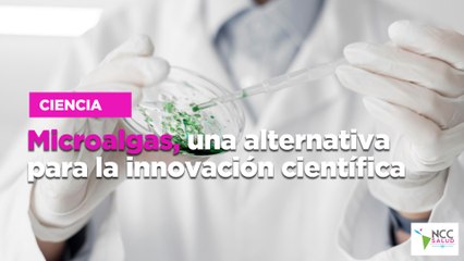 Microalgas, una alternativa para la innovación científica