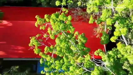 Desafío del siglo XXI - Capítulo 100