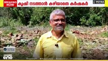 കാട്ടാനശല്യം: കൃഷി നടത്താൻ കഴിയാത്തതിൽ മനംനൊന്ത് വാഴകൾ വെട്ടി മാറ്റി കർഷകൻ