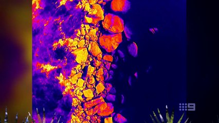 taronga whos who in the zoo s06e03