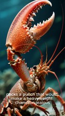 The Animal That Can Create a Vacuum Around Its Bod