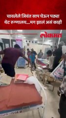बाप रे बाप, ठाणे सिव्हिल रुग्णालयात साप