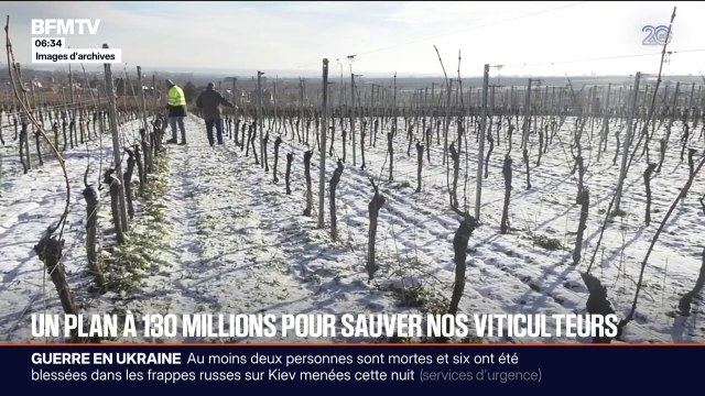 Aléas climatiques: un plan à 130 millions d'euros annoncé pour venir en aide aux viticulteurs