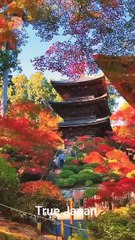 “3 Traditional Japanese Houses That Still Exist Today” #japan