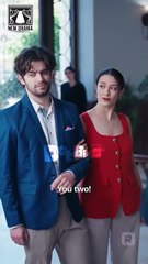 Country Gal to CEO's Bride | Full Movie HD - New Drama ShortFilms Hot