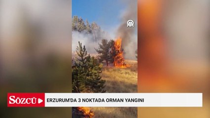 Erzurum'da 3 noktada orman yangını