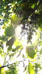 Fleeing Husband Please Love Me All Over Again | Full Movie HD - Best Drama ShortFilms Hot Romance Love