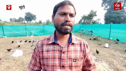 मुर्गी पालन योजना में अनियमितता, लाभुकों का आरोप- चूजे वितरण में किया जा रहा घोटाला