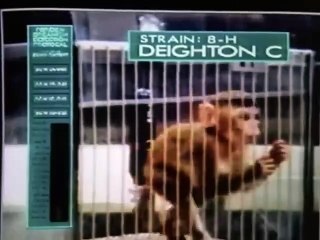 Au delà du Réel - S1 - Ep 4 - frères de sang