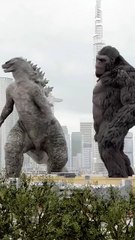 Funny videos daily  life and photo editing