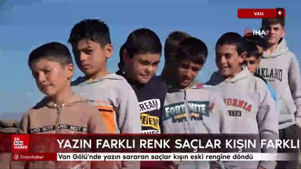 Van Gölü'nde yazın sararan saçlar kışın eski rengine döndü