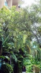 Hooked At First Sight - FULL MOVIES ENGLISH SUB