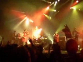 Svinkels @ yakayalé 2008